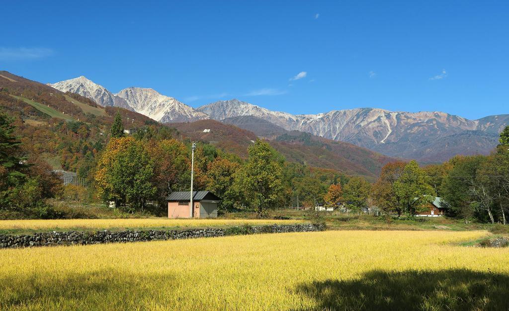 Pension Agi Hakuba Exteriér fotografie