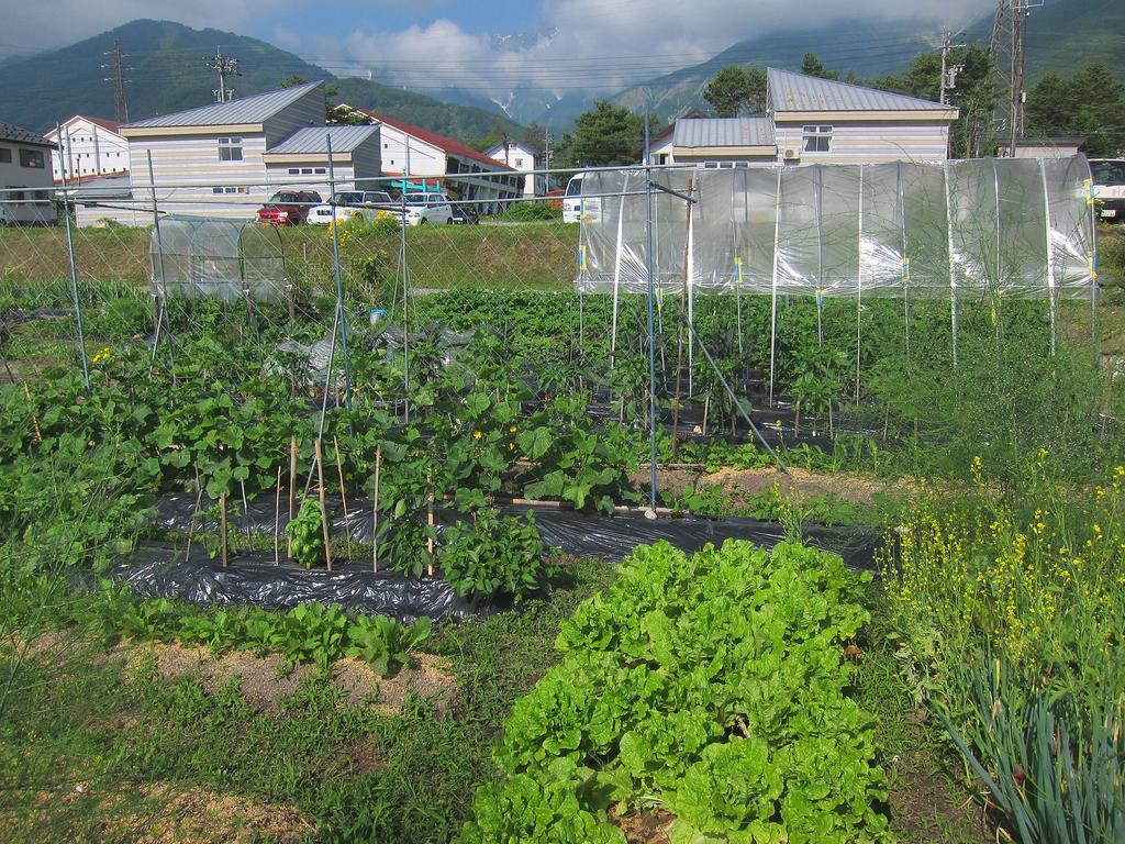 Pension Agi Hakuba Exteriér fotografie